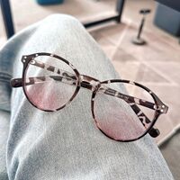 Plastic TR90 glasses with Blue ray cut protection, with case TR2069腮红-2