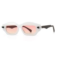 Plastic polygonal sunglasses for men Elit 2233-EL