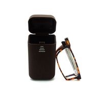 Очки-пенсне пластиковые для чтения с футляром 6014, диоптрии от +1.00 до +3.50, РМЦ=62-64