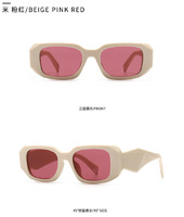 Sunglasses Elit modern retro PR17WS