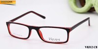 Plastic frames for glasses VIZZINI V8312