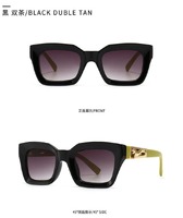 Sunglasses Elit one piece square 2188