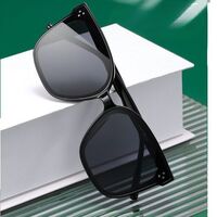 Sunglasses V352-353-361
