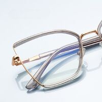 Metal + TR90 plastic Blue Blocker glasses frame for women with UV and blue light protection lenses More FCS3157