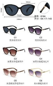 PC plastic sunglasses with metal hinge 6184W