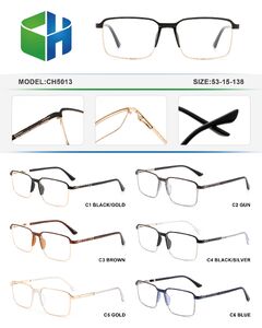 Metal frame with soft nose pad and spring hinges CH5013-DA