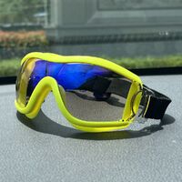 Safety shockproof sports childrens goggles S42炫彩-DX