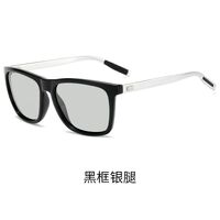 Очки фотохромные поляризационные A387