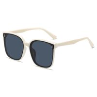Plastic sunglasses FR201