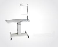 Моторизованный стол с электроподъёмным механизмом C-160, столешница 900*420 мм