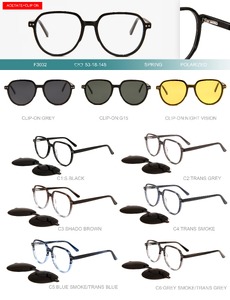 Plastic acetate frame with flex hinges + polarized clip-on Big City F3032S