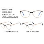 Очки защитные металлические с антибликовым покрытием Landi LD3014