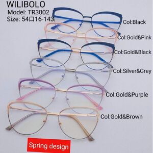 Metal +TR90 ultrathin frames with flex hinges Wilibolo TR3002