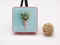 Kit for soft contact lenses (Kits for contact lenses) HF8066-11