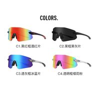 Plastic rimless sunglasses with UV400 protection 2977-GT