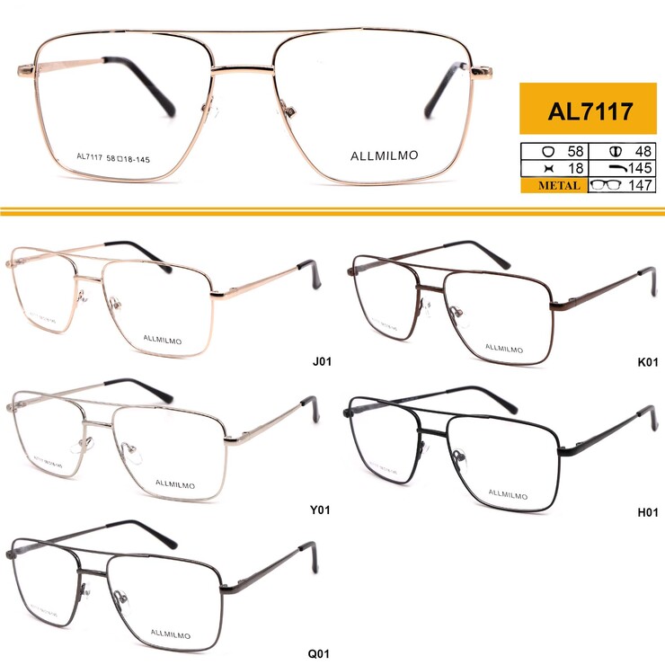 Metal eyeglass frame, material steel Allmilmo AL7117