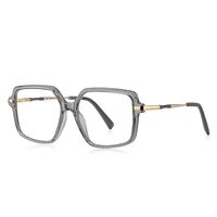 Plastic TR90 + metal frames for glasses with Blue Ray Cut protection and flex hinges FOCUS FCS2214
