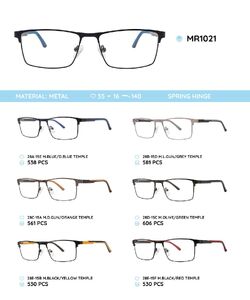 Металлическая оправа с дужками из материала TR-90 со встроенным флексом MR1021