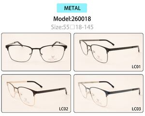 Metal eyeglasses frame for men with spring hinges 260018 (item in stock)