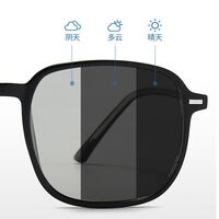 Очки поляризационные пластиковые фотохромные с защитой от синего света 9721-GT