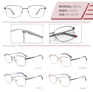 Metal frame LE6427-DA