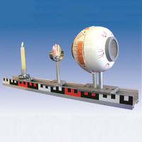 Anatomical eye model with demonstration of the image of the eyeball SMD106A