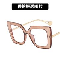 Очки пластиковые женские с защитой от синего света 1916-PN