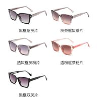 Plastic sunglasses with square frame for men Elit BZ3264-EL