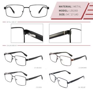 Metal frame with spring hinges LE6260-DA