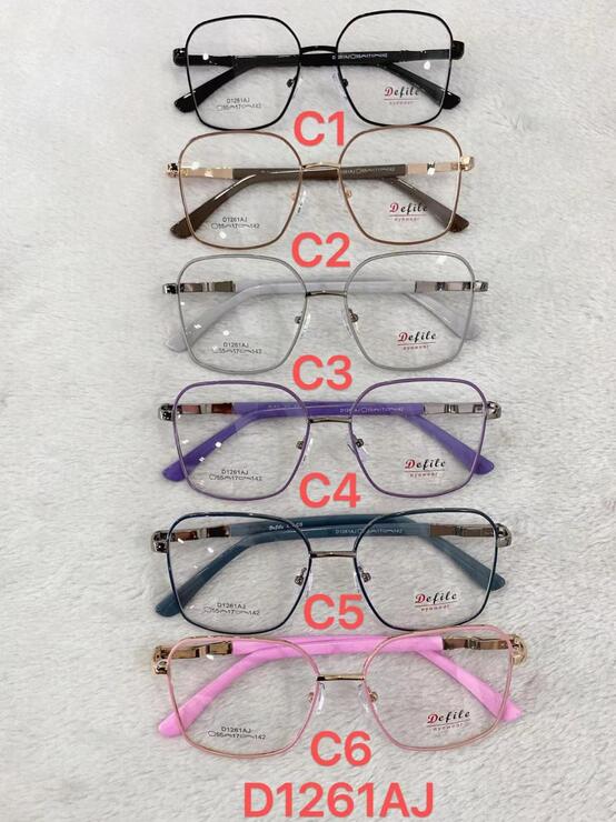 Metal frames for glasses with flex hinges Defile D1261AJ