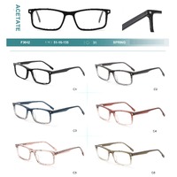 Acetate plastic frames for glasses with spring hinges Big City F3042