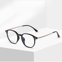 Titanium extralight frames MAMO T18926