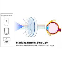 Photochromic gray plastic lenses, index 1.56, with UV410 coating