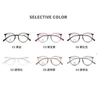 Оправа гибридная, титановый сплав + TR90 SANTA M8007