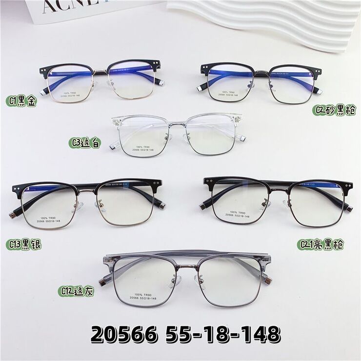 Hybrid metal + TR90 frame SANTA 20566