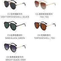 Polarized plastic sunglasses with UV400 protection 2954-GT