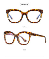 Plastic frames for glasses TR90+CA material (flex hinges) FOCUS FCS2101