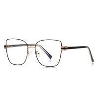 Metal Blue Blocker frames for glasses More FCS3136