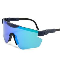 Polarized plastic TR90 sunglasses with UV400 protection 2948-GT