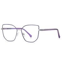 Metal Blue Blocker frames for glasses MORE 3075