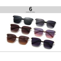 Metal retro sunglasses Elit 2514-EL