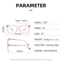 Plastic frame with anti-blue light protection lenses, with spring hinges Elit 5727-EL