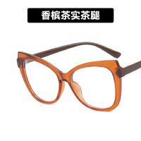 Plastic TR90 glasses with blue light protection for women 5003-PN