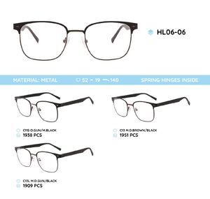 Металлическая оправа с дужками из материала TR-90 со встроенным флексом HL06-06