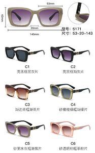 PC plastic sunglasses with metal hinge 5171W