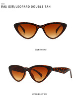 Sunglasses Elit cat eye 1735-1