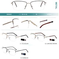 Nylor metal frames for glasses Big City 8039A20
