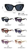 PC plastic sunglasses with plastic hinge 3198W