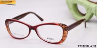 Plastic eyeglass frame VIZZINI V7152