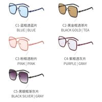 Metal sunglasses with UV400 protection 2951-2-GT